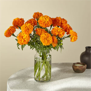 Marigold