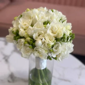 Freesia