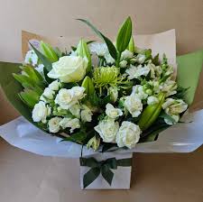 White Velvet Elegance